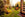 Autumn gardening jobs