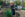 Best Topsoil for Raised Garden Beds
