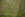 How to Level a Bumpy Lawn: What You Need To Know