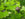 Organic Pest Control – How to Keep Your Garden Bug Free