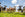 Group of cows standing on a grassy field with a blue sky.