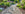 Beach cobbled garden path winding through a lush garden with flowers and plants.