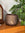 Decorative brown pot with a star-shaped pendant