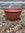 Terracotta-colored pot on a stone ground with a brick wall background