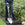 Person holding a Bulldog round point garden spade in a garden setting