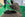 Person loading compost into a green wheelbarrow