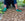 Person wearing green gloves working with wood chips on a garden bed