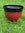 Red and black planter on grass