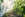 Insect Netting Plants