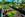 Vegetable garden with various plants and a wooden bench in the background