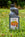 plant feed