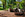 Wooden boat sculpture in a park with trees and greenery and playchip