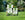 Two packages of empathy rootgrow mycorrhizal fungi on grass with a garden background
