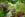 Summer garden pots and deckchair