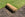 Lawn turf roll showing part coverage of garden