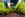 Person wearing gardening gloves holding woodland mulch with plants in the background