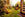 Autumn gardening jobs