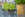 How to make a herb garden