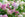 Summer gardening jobs