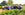 Our Community Garden opens at Aldingbourne Country Centre
