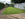 Moving house - what do I do with my new garden?