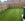 New Build Garden Ideas and Tips