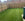 New Build Garden Ideas and Tips