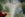 How to fix a waterlogged garden
