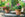 Pots and Planters