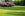 Turf and lawncare