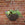 Hanging rattan basket with plants against a brick wall