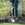 Bulldog Round Point Spade