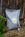 Small bag of compost with trowel to the side