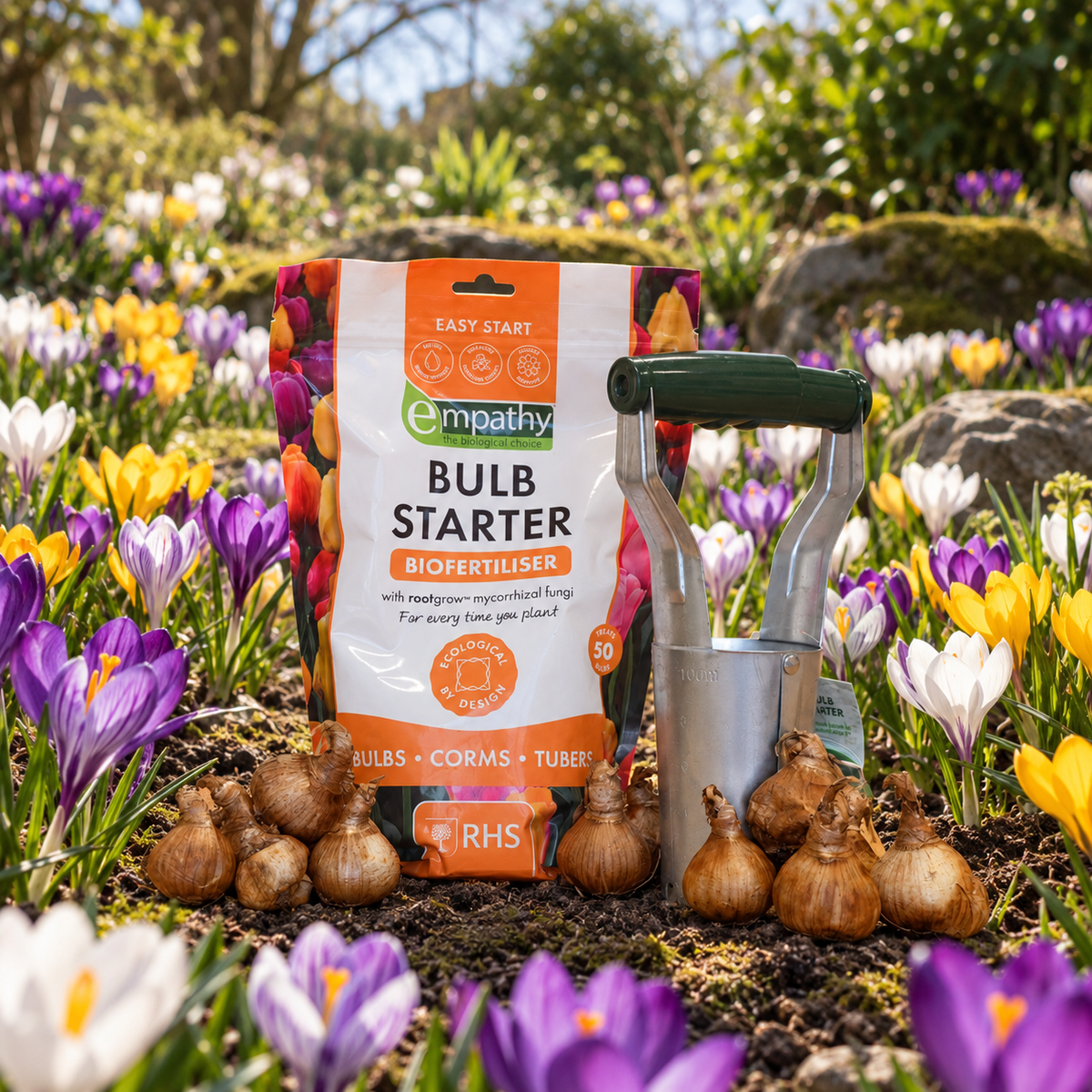 Crocus Bulb Bundle