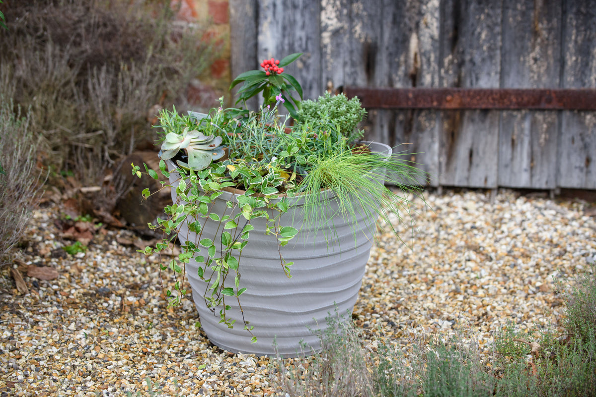 Gray planter with green plants on a gravel surface with a wooden fence in the background