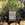 Earth Cycle Netting Clips in a garden bed surrounded by purple lavender flowers and mulch. 