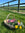 Wooden trug with gardening tools and flowers 