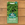 Mr Fothergill's Rocket Wild Tricia Seed