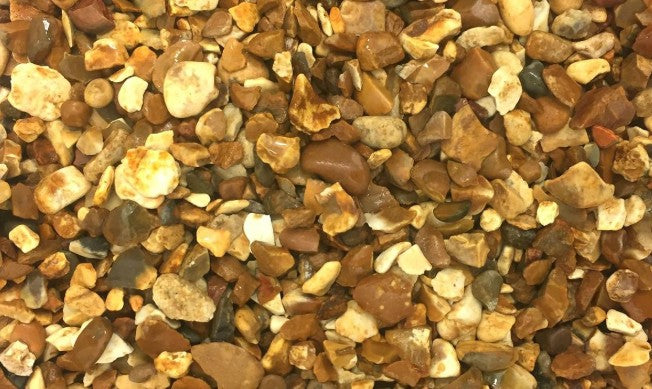 Golden Shingle close up
