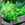 Herbs in pots on a wooden crate with a garden background
