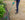 hoe