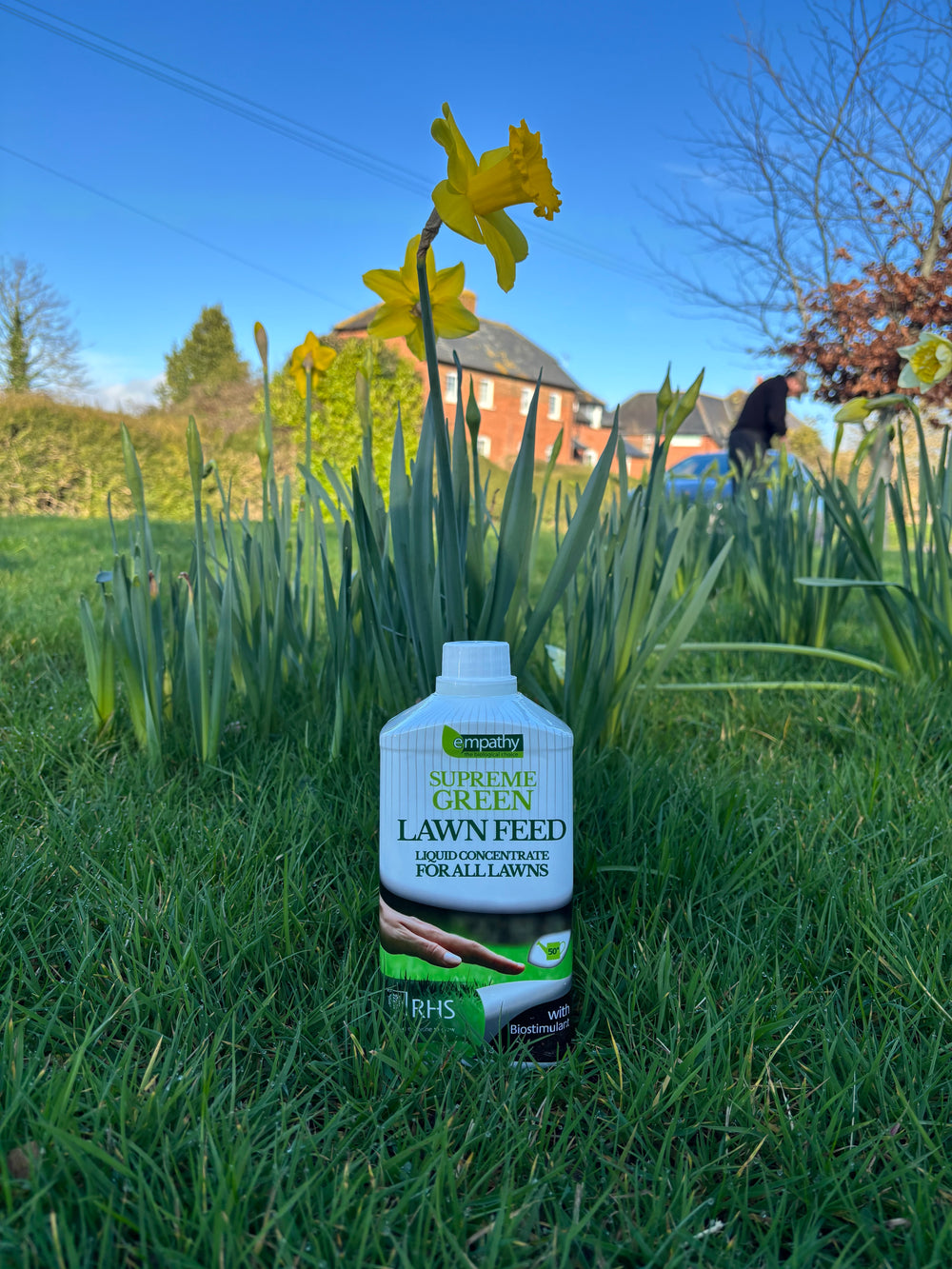 Cool Review About Simply Green Lawnfeed
