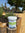 Natural Pond Algae Control Balls