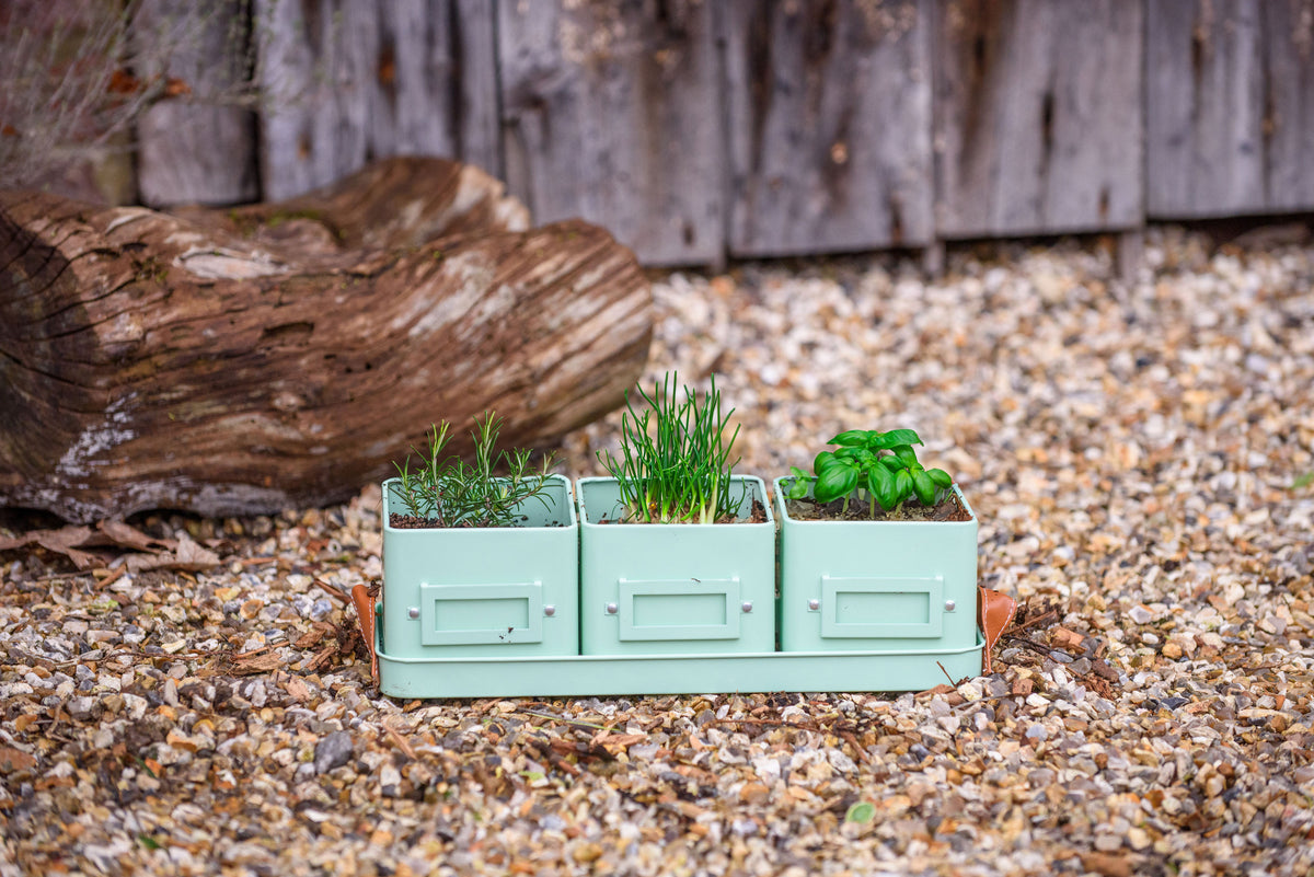 Herb pots for kitchen windowsill 