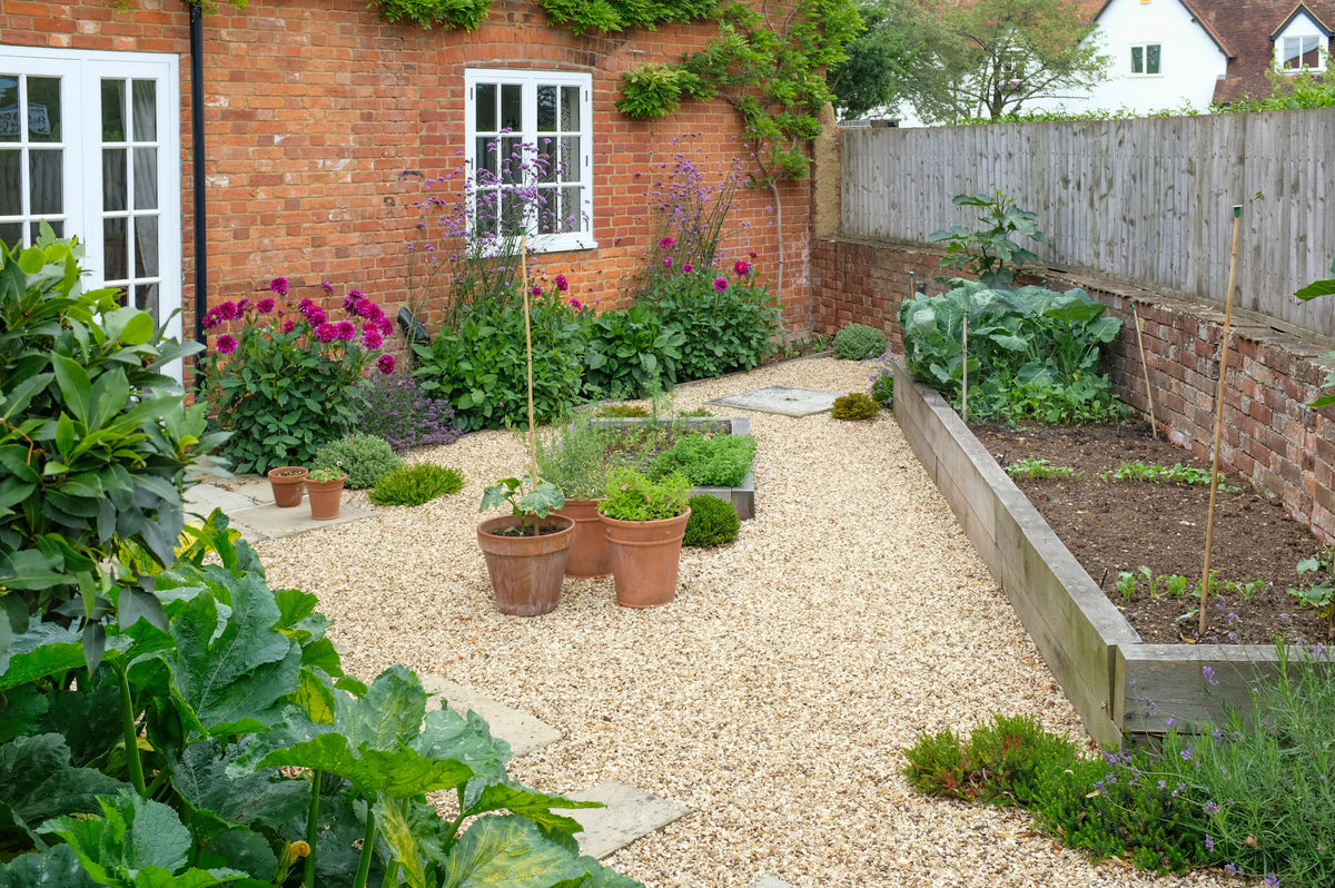Garden with laid golden shingle, plants, pots, and a pathway leading to a house.
