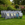 Large lawn bundle with rootzone, feed and seed on a grassy area with a garden background