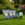 A lawn bundle with compost, feed and seed on a grassy area with a garden background.