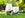 Supreme Green - Lawn Seed