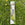 Lawn edger tool on a grassy background