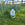 Bottle of lawn feed on a grassy area with flowers and a fence in the background